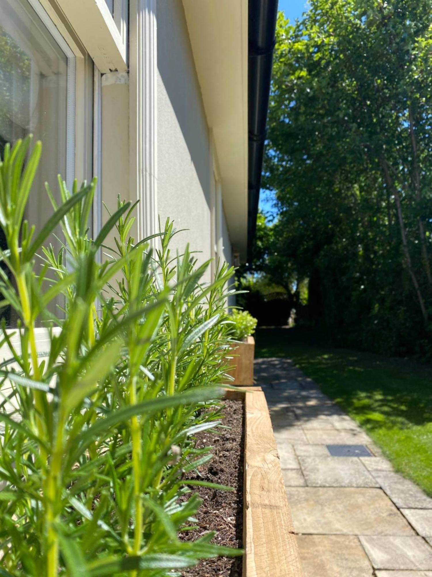 Enchanting 1 Bedroom Home With Kitchen Saffron Walden Bagian luar foto
